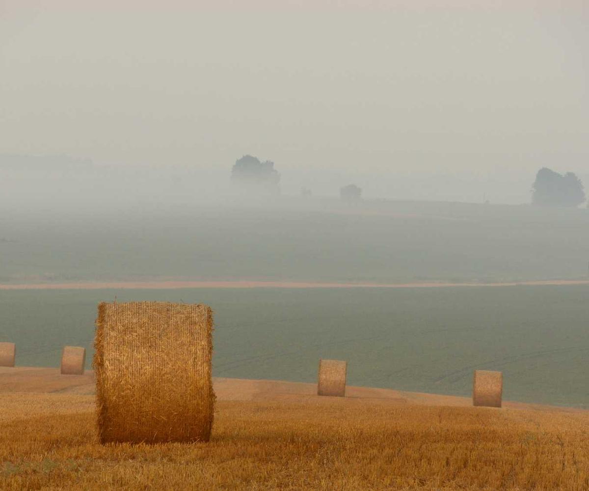 Windows日志检测工具